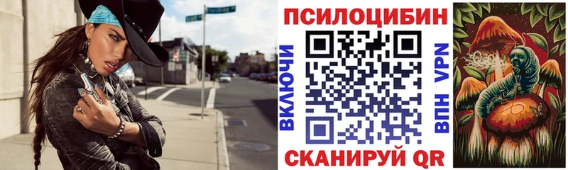 Галлюциногенные грибы Psilocybe  MEGA онион  Ковдор 