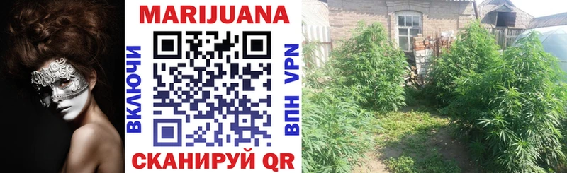 Конопля THC 21%  Ковдор 